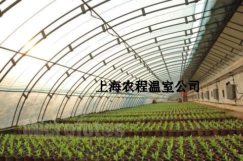 上海麻豆AⅤ精品无码一区二区