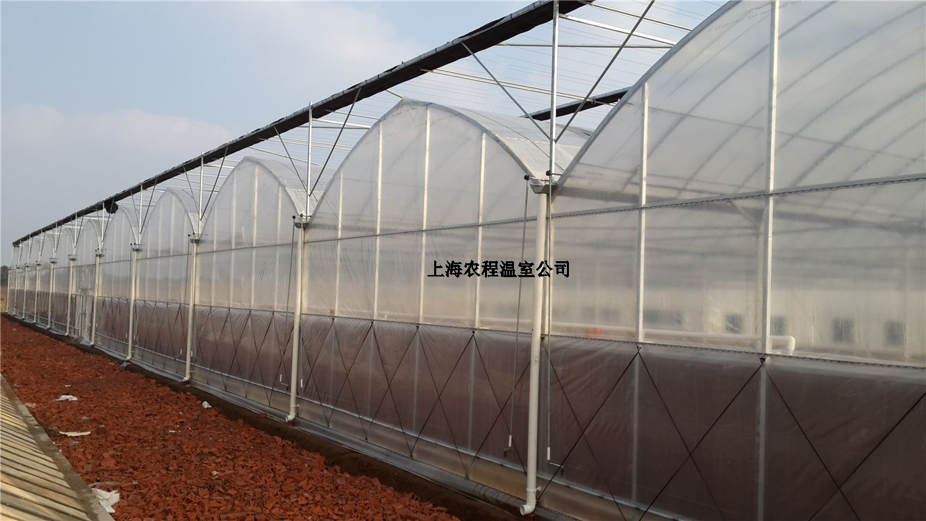 上海麻豆AⅤ精品无码一区二区