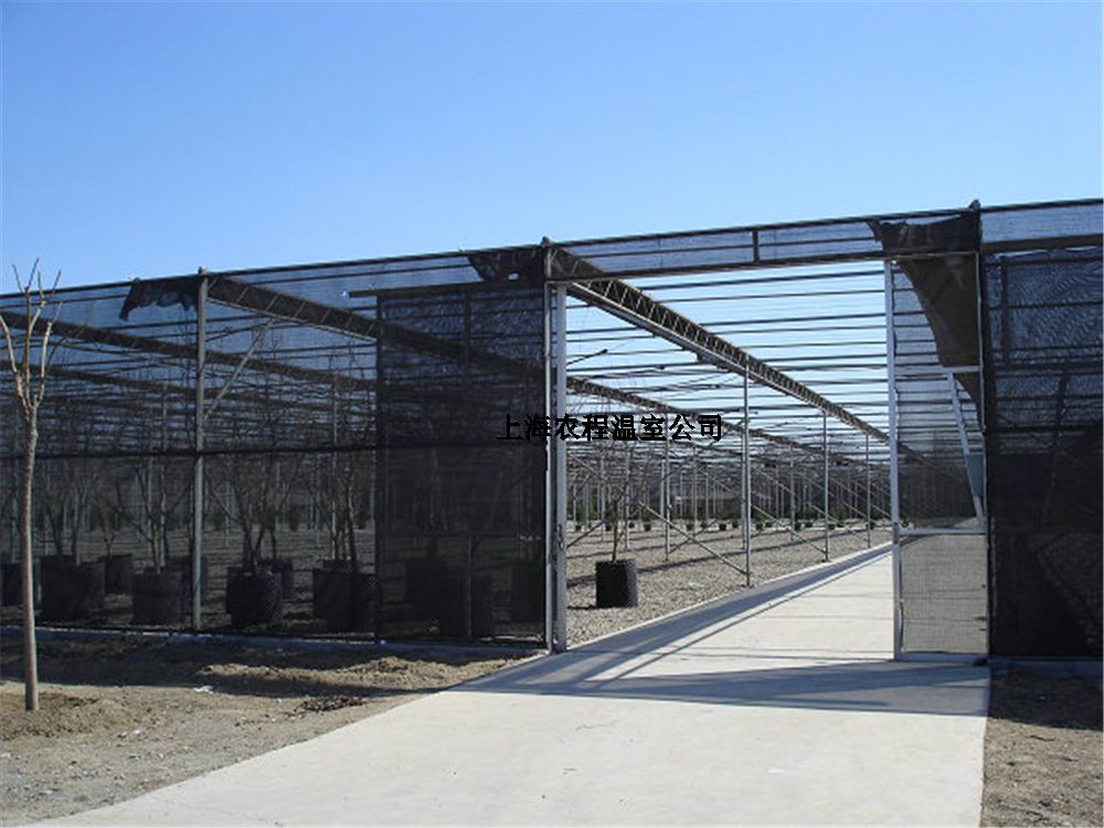 上海麻豆AⅤ精品无码一区二区